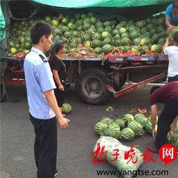 陇南网红吃瓜满床跑,揭秘网络红人的日常生活 第3张 陇南网红吃瓜满床跑,揭秘网络红人的日常生活 第3张